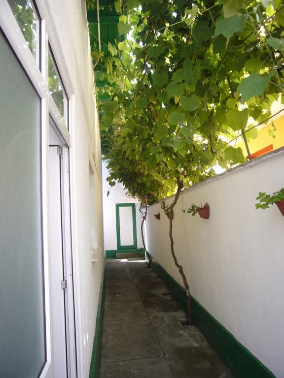 Apartamente Pinciuc Costinesti Exterior photo